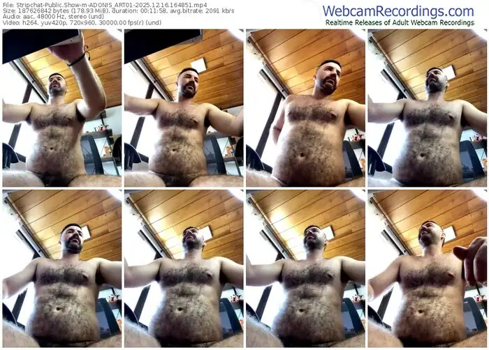 2025/12/16/stripchat-adonis_art01-16-48-51