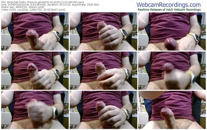 2025/12/16/stripchat-gman05122-09-10-50