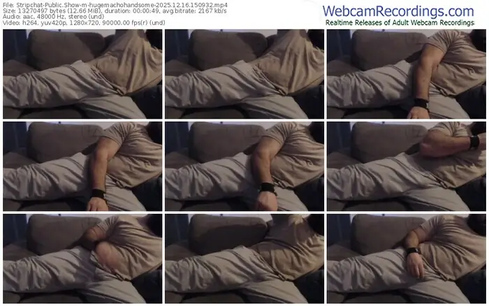 2025/12/16/stripchat-hugemachohandsome-15-09-32