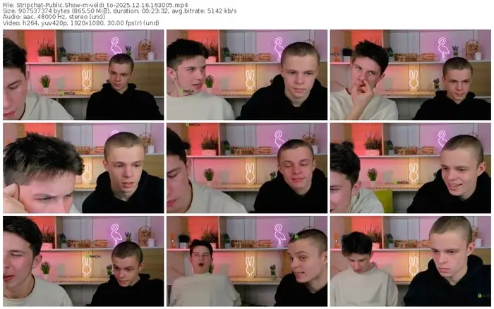 2025/12/16/stripchat-veldi_to-16-30-05