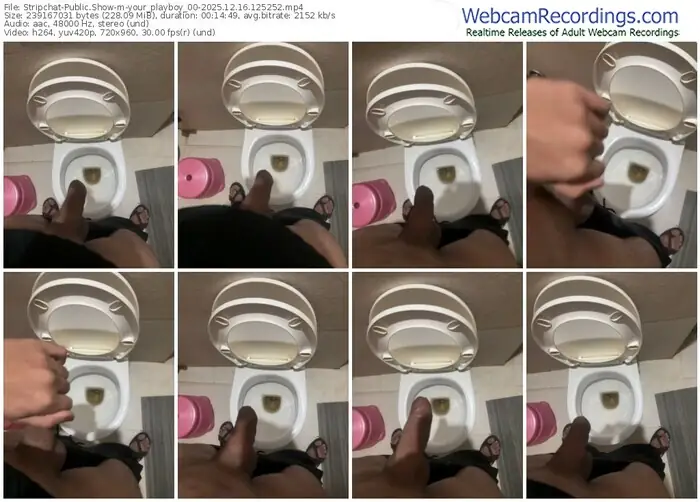 2025/12/16/stripchat-your_playboy_00-12-52-52