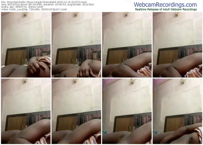 2025/12/16/stripchat-kajal-shemale69-21-01-53