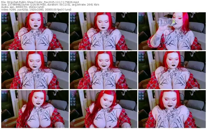 2025/12/17/stripchat-gotic_pie-17-58-26