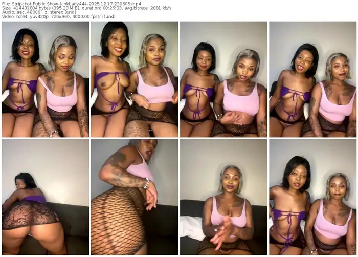 2025/12/17/stripchat-inklady444-23-06-05
