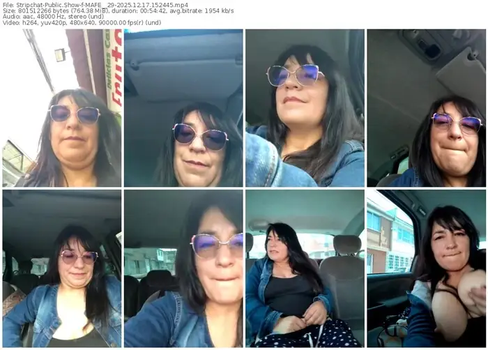 2025/12/17/stripchat-mafe__29-15-24-45