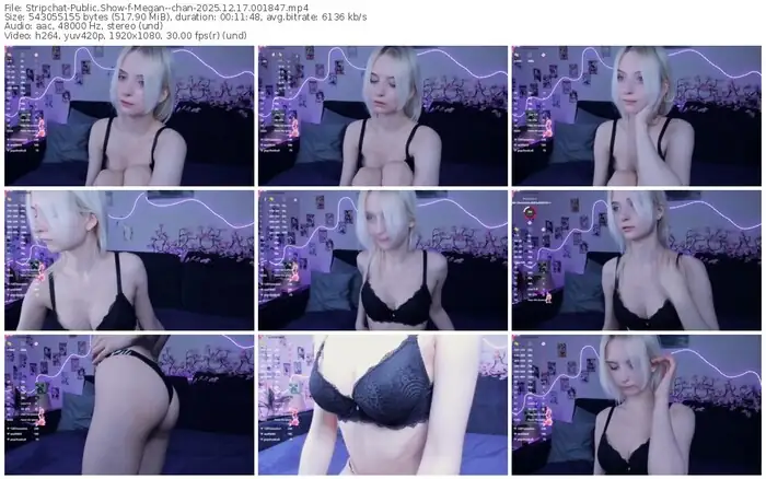2025/12/17/stripchat-megan--chan-00-18-47