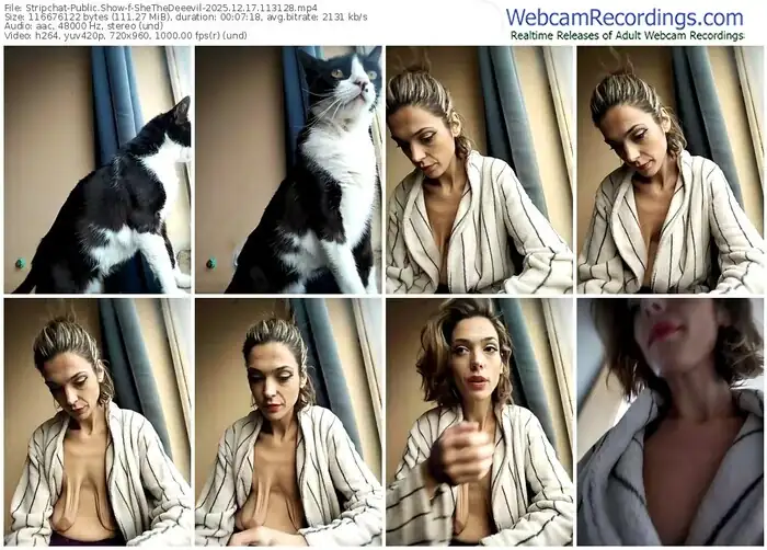 2025/12/17/stripchat-shethedeeevil-11-31-28