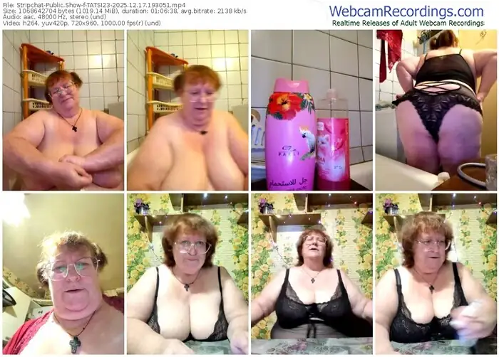 2025/12/17/stripchat-tatsi23-19-30-51