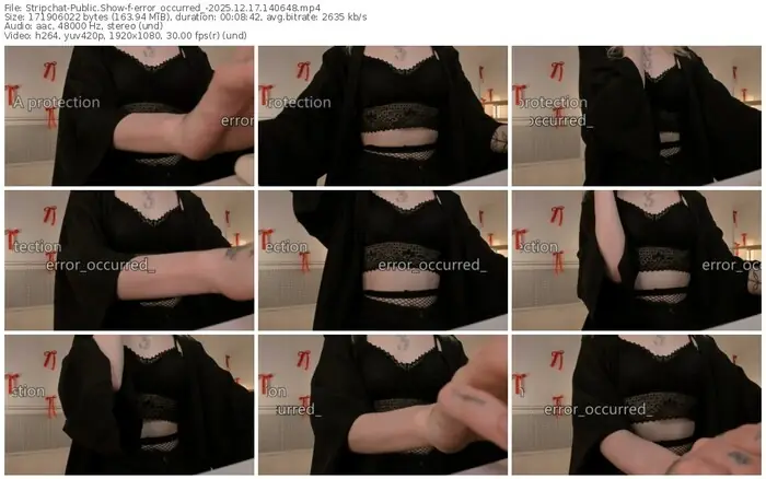 2025/12/17/stripchat-error_occurred_-14-06-48