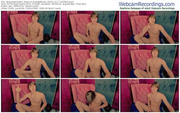 2025/12/17/stripchat-donaldwoon-19-26-02