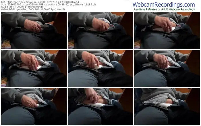 2025/12/17/stripchat-leo30010-13-10-28