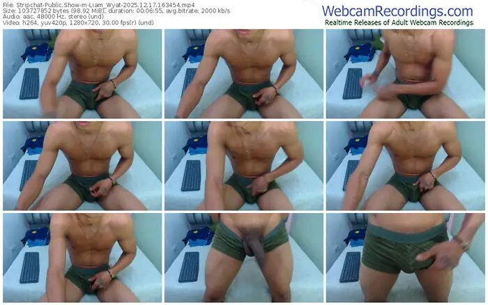 2025/12/17/stripchat-liam_wyat-16-34-54