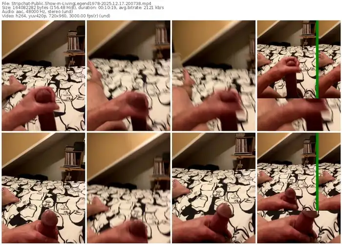 2025/12/17/stripchat-livinglegend1978-20-07-38