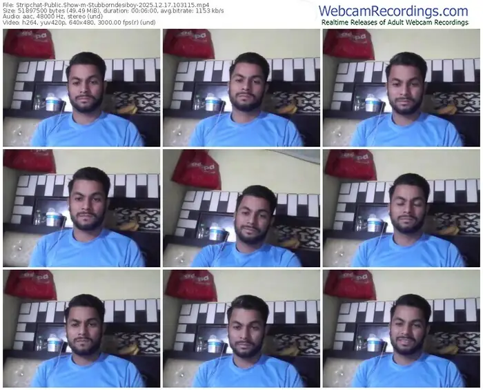 2025/12/17/stripchat-stubborndesiboy-10-31-15