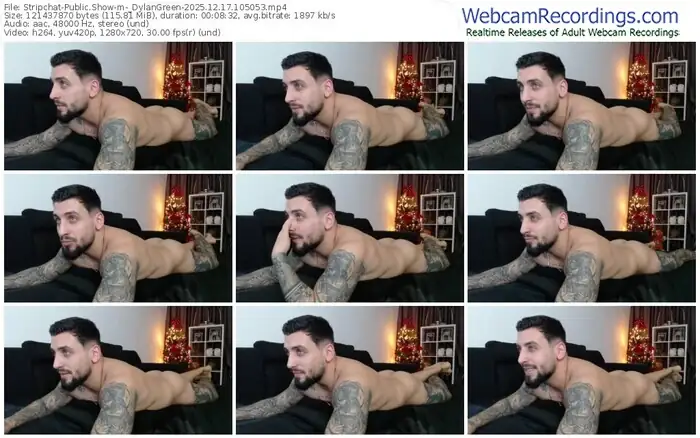 2025/12/17/stripchat-_dylangreen-10-50-53