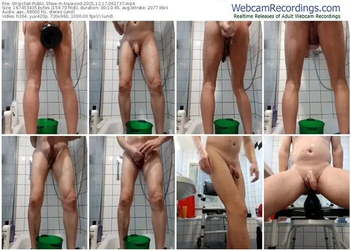 2025/12/17/stripchat-toywood-06-17-37