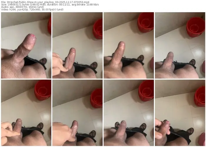 2025/12/17/stripchat-your_playboy_00-07-00-53