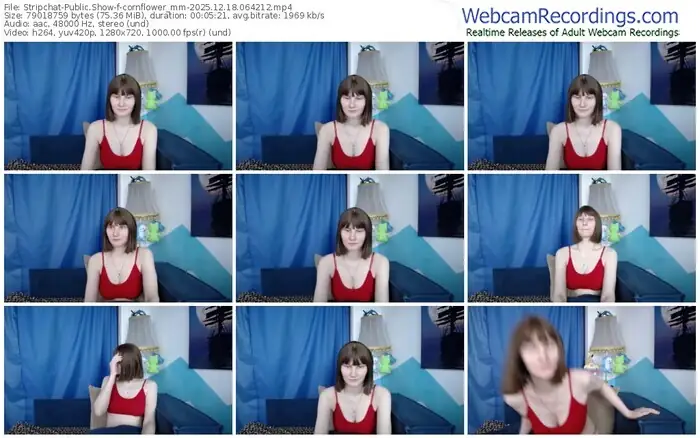 2025/12/18/stripchat-cornflower_mm-06-42-12