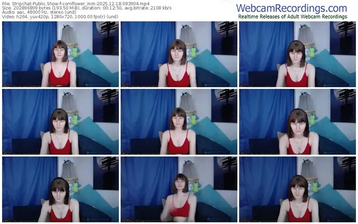 2025/12/18/stripchat-cornflower_mm-09-39-04