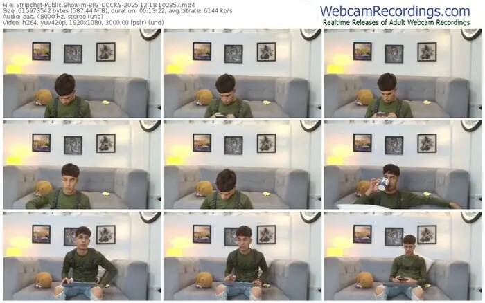 2025/12/18/stripchat-big_cocks-10-23-57