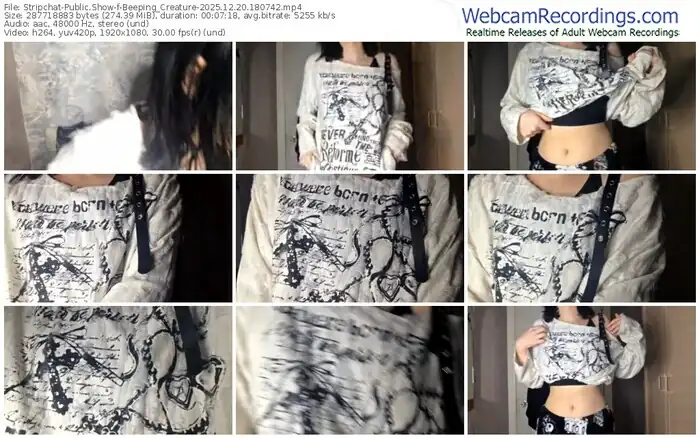 2025/12/20/stripchat-beeping_creature-18-07-42