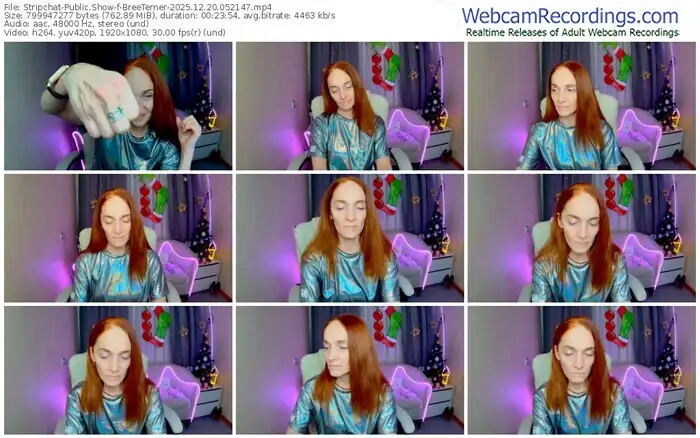 2025/12/20/stripchat-breeterner-05-21-47