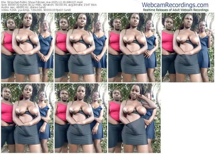 2025/12/20/stripchat-broan_me-08-02-27