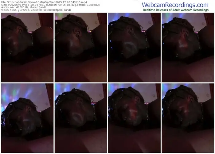 2025/12/20/stripchat-danapanteer-04-31-10