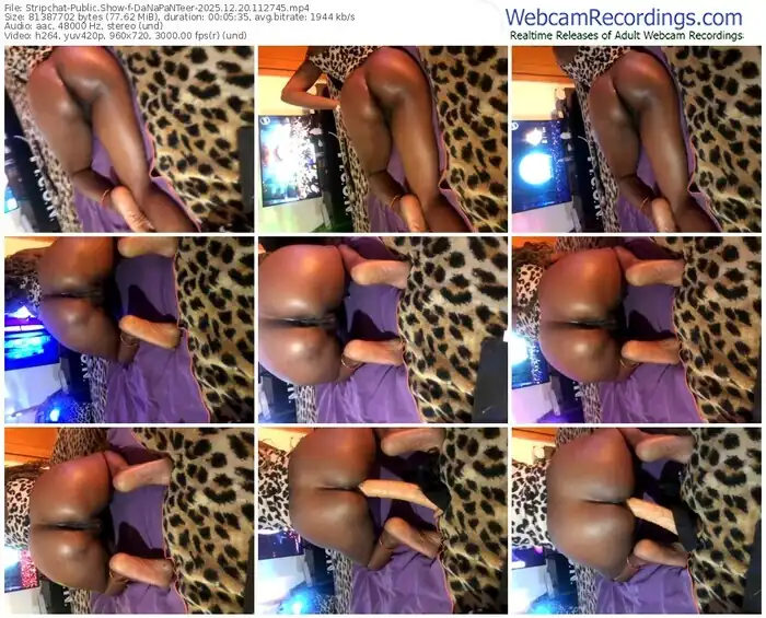 2025/12/20/stripchat-danapanteer-11-27-45