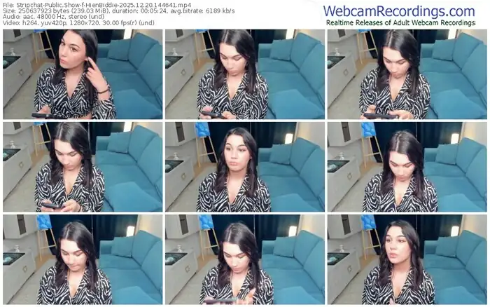2025/12/20/stripchat-hienbiddie-14-46-41