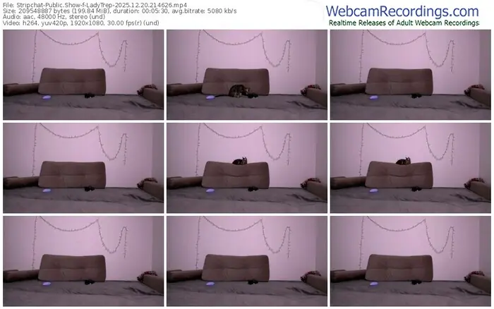 2025/12/20/stripchat-ladytrep-21-46-26