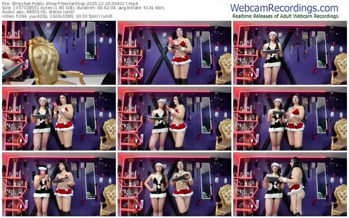 2025/12/20/stripchat-nectarshop-05-40-17