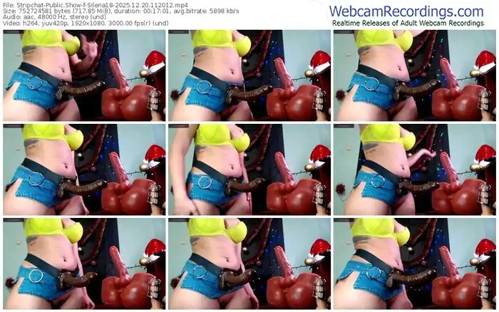 2025/12/20/stripchat-silena18-11-20-12