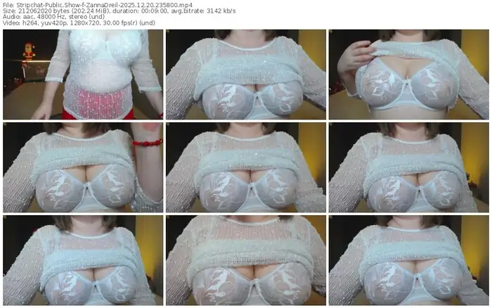 2025/12/20/stripchat-zannadreil-23-58-00