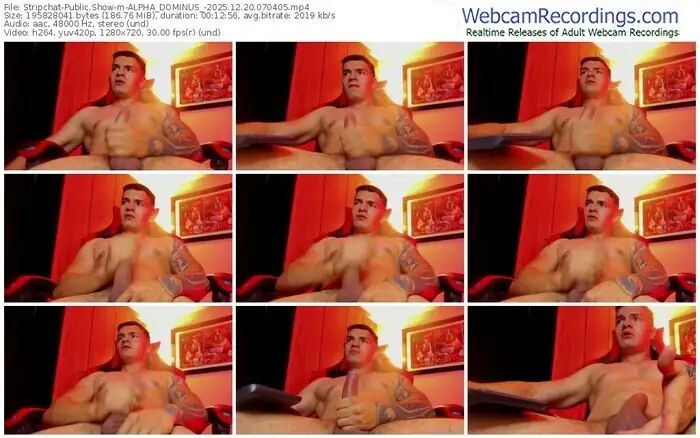 2025/12/20/stripchat-alpha_dominus_-07-04-05