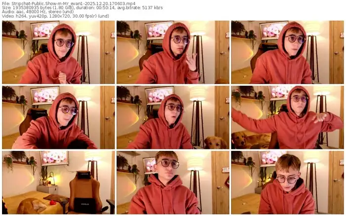 2025/12/20/stripchat-mr_evan1-17-06-03