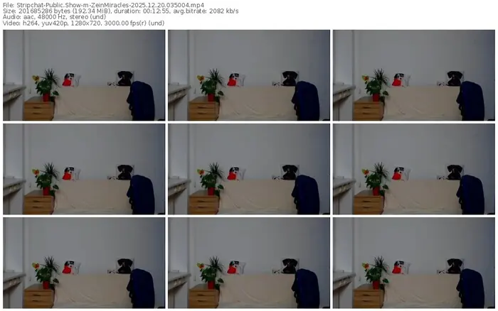 2025/12/20/stripchat-zeinmiracles-03-50-04