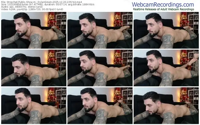 2025/12/20/stripchat-_dylangreen-10-57-42