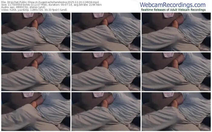 2025/12/20/stripchat-hugemachohandsome-12-49-34