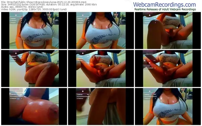 2025/12/20/stripchat-bigcocksexyluisa-20-09-04