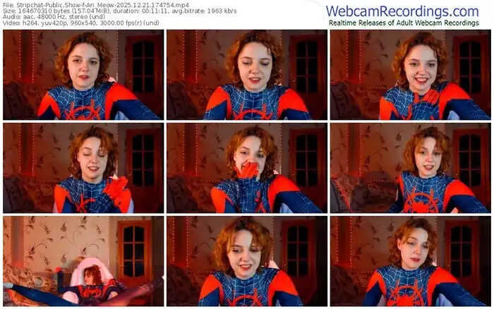 2025/12/21/stripchat-ari_meow-17-47-54