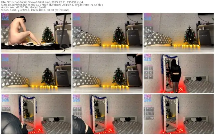 2025/12/21/stripchat-fakelamb-23-59-39