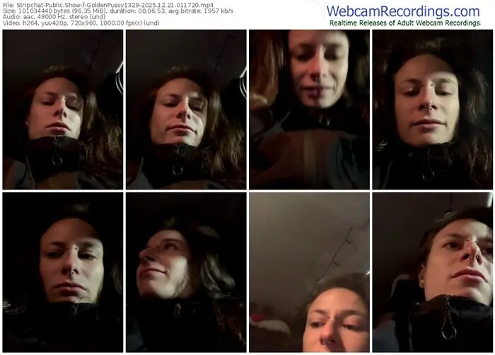 2025/12/21/stripchat-goldenpussy1329-01-17-20