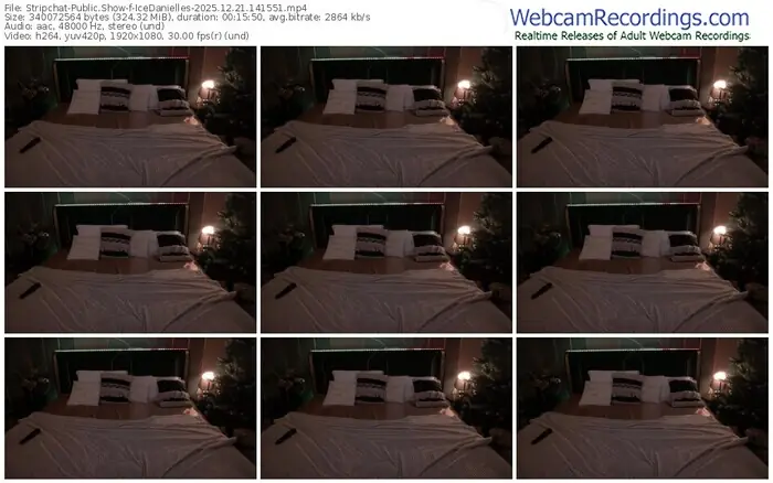2025/12/21/stripchat-icedanielles-14-15-51