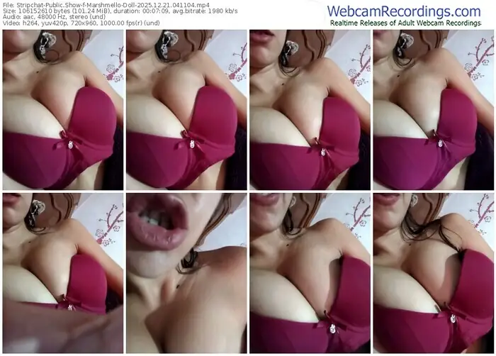 2025/12/21/stripchat-marshmello-doll-04-11-04