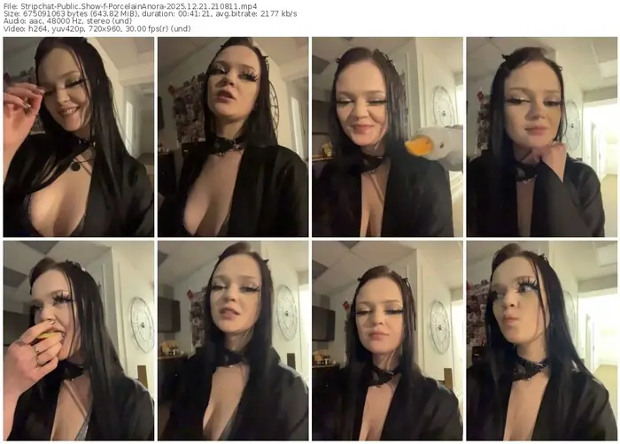2025/12/21/stripchat-porcelainanora-21-08-11
