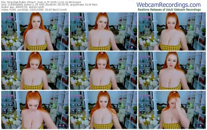 2025/12/21/stripchat-_dian_a_pr-21-34-16