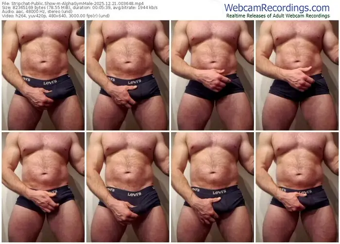 2025/12/21/stripchat-alphagymmale-00-36-48
