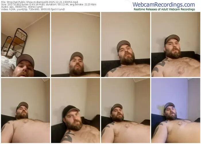 2025/12/21/stripchat-bamse28-19-30-53