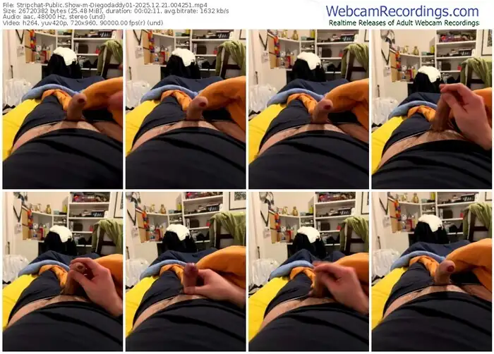 2025/12/21/stripchat-diegodaddy01-00-42-51